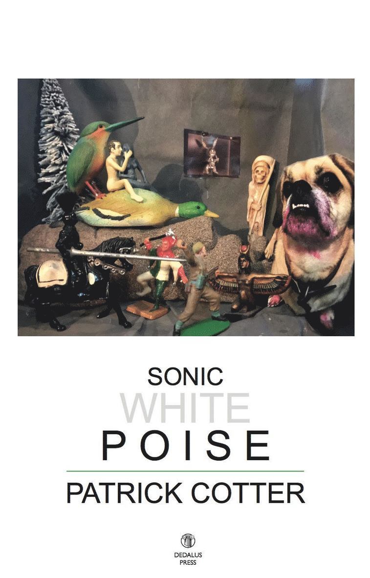 Patrick Cotter - Sonic White Poise, Häftad