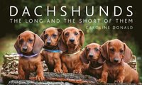 bokomslag Dachshunds: The Long and the Short of Them