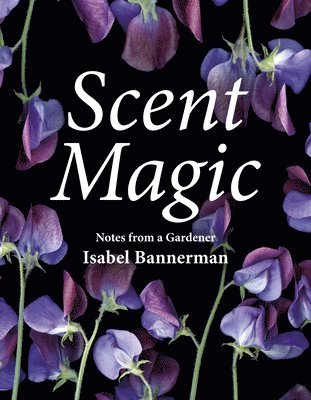 Scent Magic 1