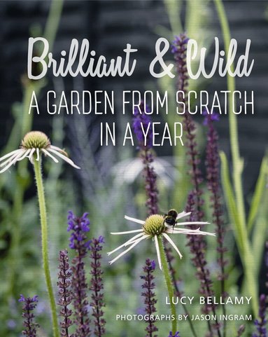 Lucy Bellamy - Brilliant and Wild, Inbunden
