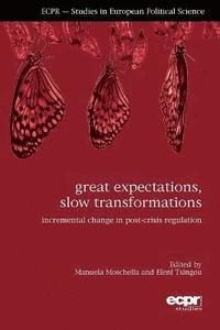 bokomslag Great Expectations, Slow Transformations