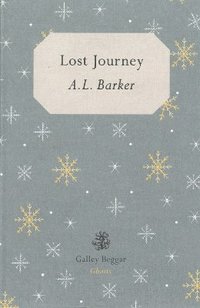 bokomslag Lost Journey