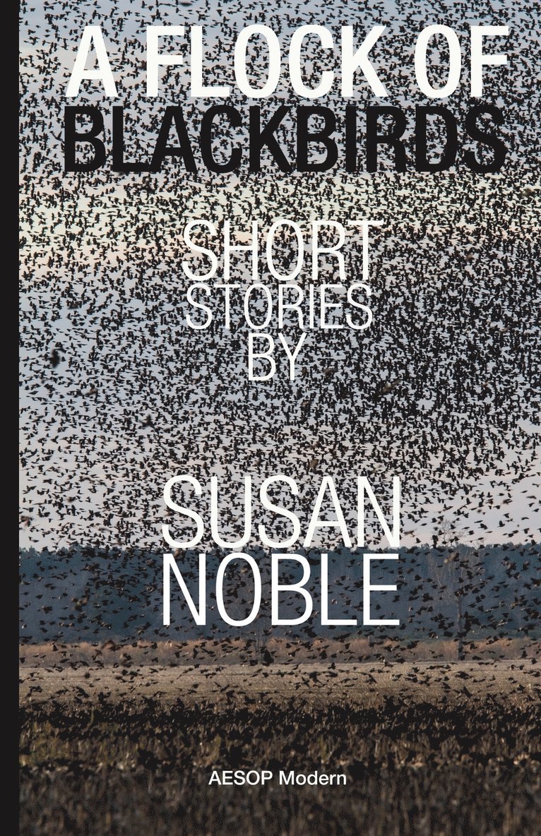 Susan Noble - Flock of Blackbirds, Häftad