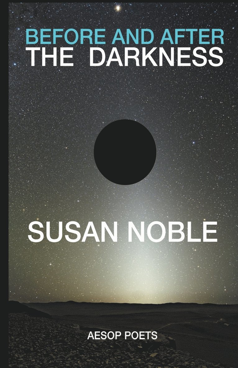 Susan Noble - Before and After the Darkness, Häftad