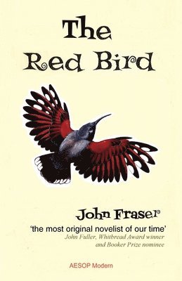 The Red Bird 1