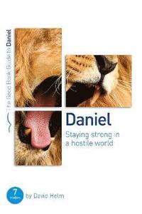 bokomslag Daniel: Staying strong in a hostile world
