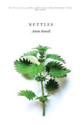 bokomslag Nettles