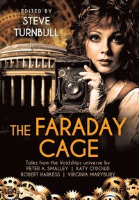 bokomslag The Faraday Cage