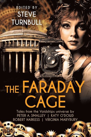 bokomslag The Faraday Cage