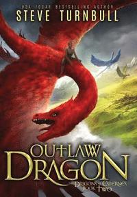 bokomslag Outlaw Dragon