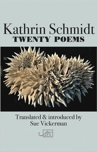 bokomslag Twenty Poems