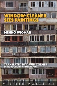 bokomslag Window-Cleaner Sees Paintings