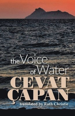 The Voice of Water 1