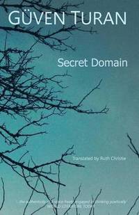 bokomslag Secret Domain