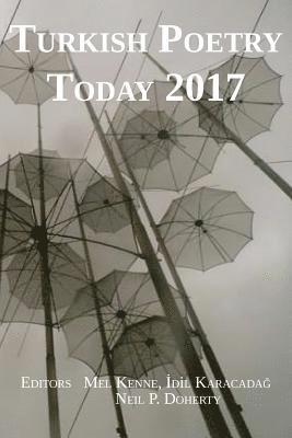 bokomslag Turkish Poetry Today 2017