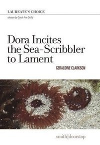 bokomslag Dora Incites Sea-Scribbler Lament