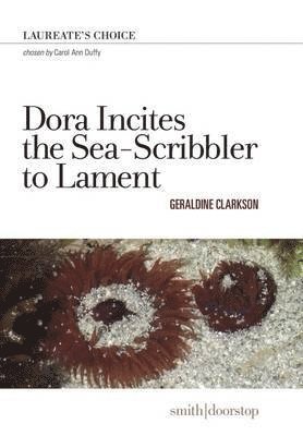 Dora Incites Sea-Scribbler Lament 1