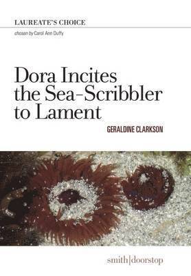 Geraldine Clarkson - Dora Incites Sea-Scribbler Lament, Häftad