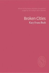 bokomslag Broken Cities