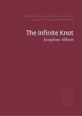 bokomslag The Infinte Knot