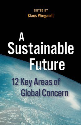 Klaus Wiegandt - A Sustainable Future: 12 Key Areas of Global Concern, Häftad