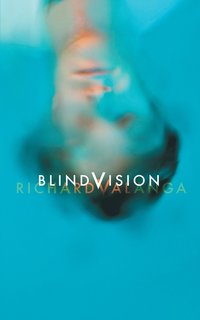 bokomslag Blind Vision