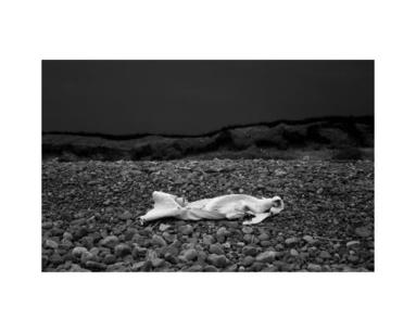 Sophy Rickett - Curious Moaning of Kenfig Burrows, Inbunden