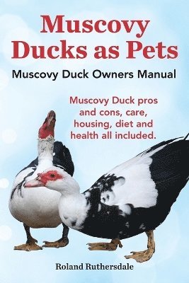 bokomslag Muscovy Ducks as Pets