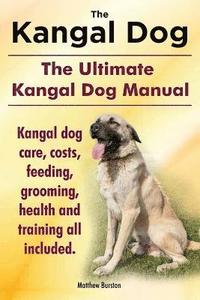 bokomslag Kangal Dog. the Ultimate Kangal Dog Manual. Kangal Dog Care, Costs, Feeding, Grooming, Health and Training All Included.