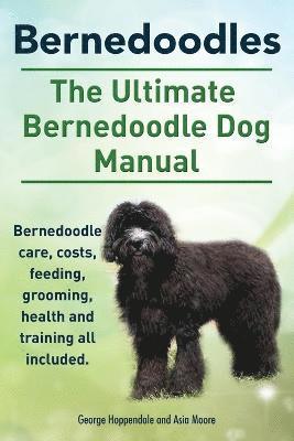 bokomslag Bernedoodles. The Ultimate Bernedoodle Dog Manual. Bernedoodle care, costs, feeding, grooming, health and training all included.