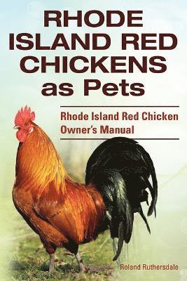 bokomslag Rhode Island Red Chickens as Pets. Rhode Island Red Chicken Owner's Manual