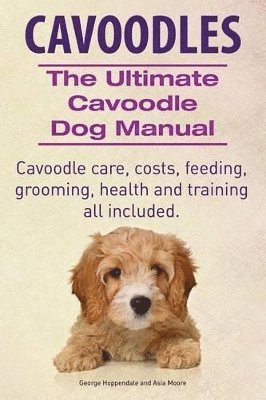 bokomslag Cavoodles. Ultimate Cavoodle Dog Manual. Cavoodle care, costs, feeding, grooming, health and training all included.