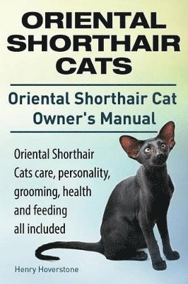 bokomslag Oriental Shorthair Cats. Oriental Shorthair Cat Owners Manual. Oriental Shorthair Cats care, personality, grooming, health and feeding all included.