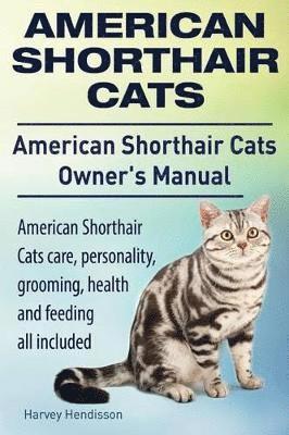 bokomslag American Shorthair Cats. American Shorthair care, personality, health, grooming and feeding all included. American Shorthair Cats Owner's Manual.