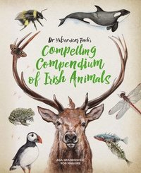 bokomslag Dr Hibernica Finch's Compelling Compendium of Irish Animals