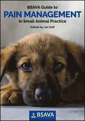 bokomslag BSAVA Guide to Pain Management in Small Animal Practice