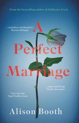 bokomslag Perfect Marriage