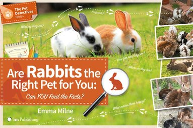Emma Milne - Are Rabbits the Right Pet for You, Häftad