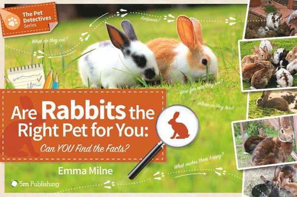 Emma Milne - Are Rabbits the Right Pet for You, Häftad