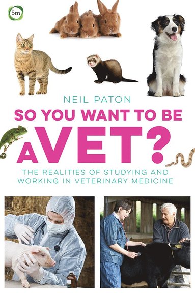 Neil Paton - So You Want to Be a Vet, Häftad