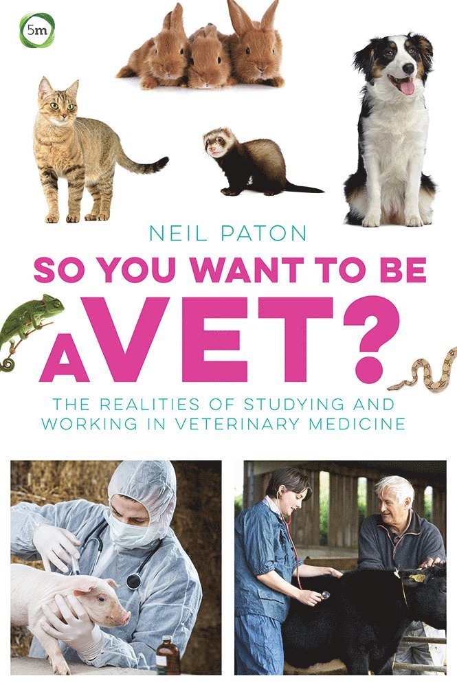 So You Want to Be a Vet: The Realities of Studying and Working in Veterinary Medicine 1