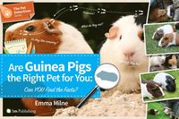 bokomslag Are Guinea Pigs the Right Pet for You