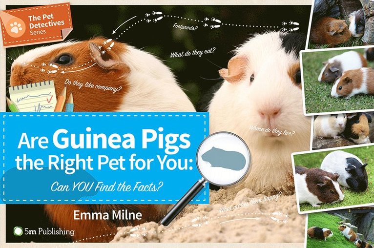 Emma Milne - Are Guinea Pigs the Right Pet for You, Häftad