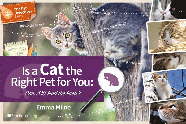 Is a Cat the Right Pet for You: Can You Find the Facts? 1