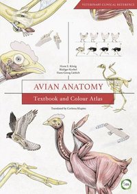 bokomslag Avian Anatomy 2nd Edition: Textbook and Colour Atlas