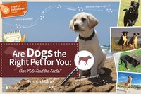 bokomslag Are Dogs the Right Pet for You
