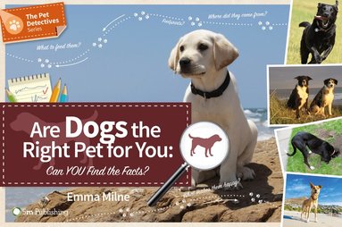 Emma Milne - Are Dogs the Right Pet for You, Häftad