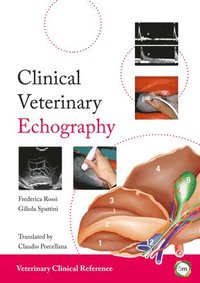 bokomslag Clinical Veterinary Echography