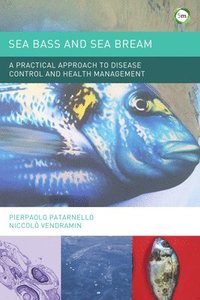 bokomslag Sea Bass and Sea Bream: A Practical Approach to Disease Control and Health Management