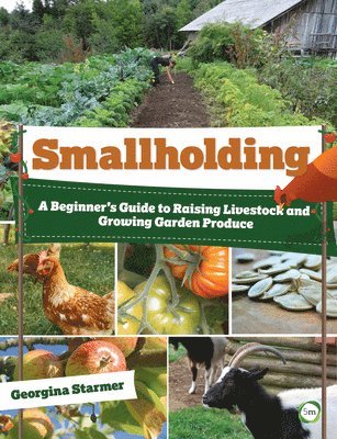 bokomslag Smallholding: A Beginner's Guide to Raising Livestock and Growing Garden Produce